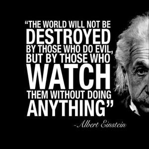 Meet your Posher, Daisy